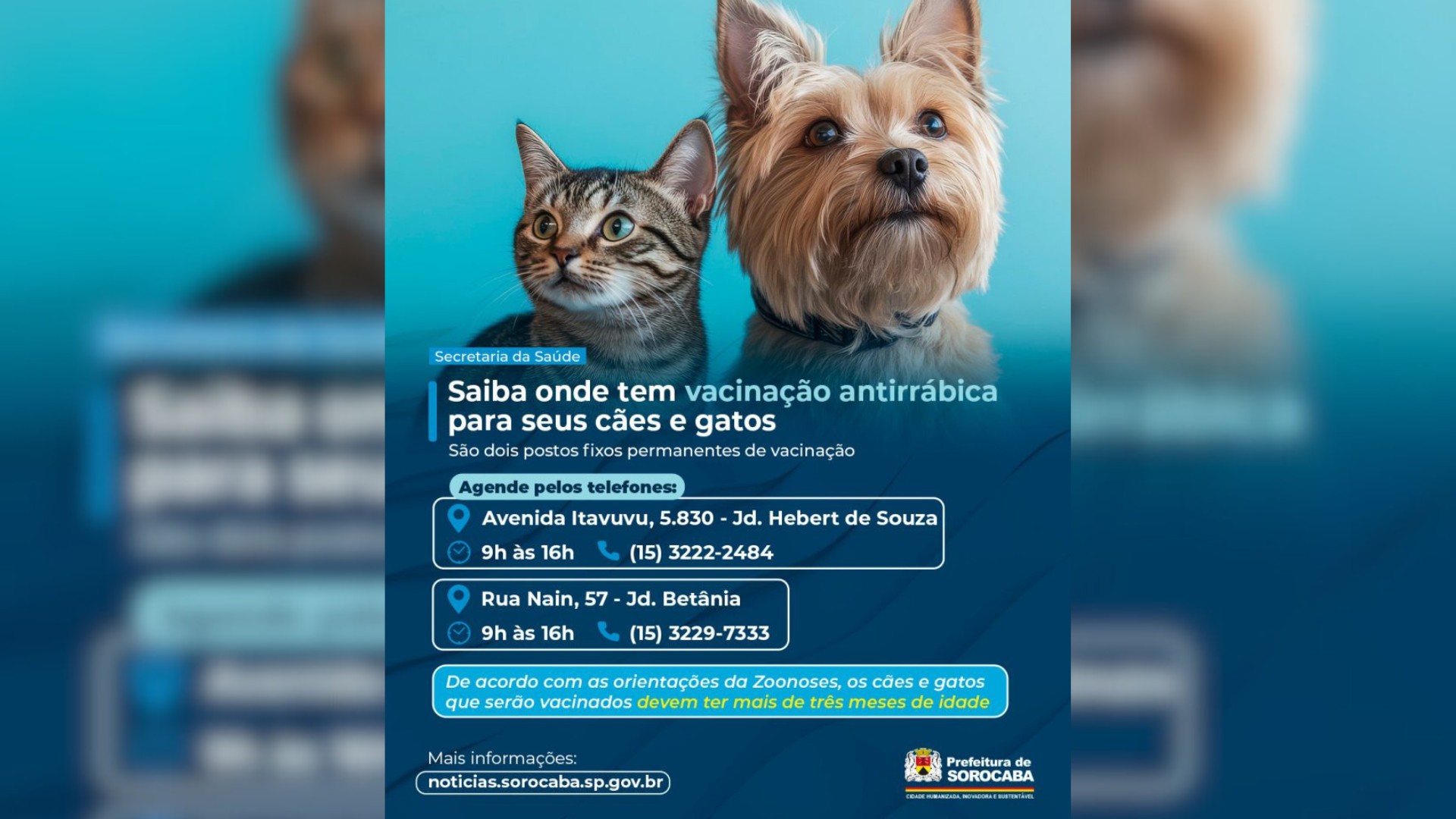 Sorocaba confirma mais 2 casos de raiva em morcegos e total sobe para 5 no ano