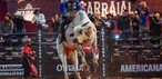 Alisson de Souza montou o touro Relíquia da Patroa no Round Final e conquistou o título da etapa da PBR da Festa do Peão de Americana, neste domingo (7) — Foto: Thomaz Marostegan