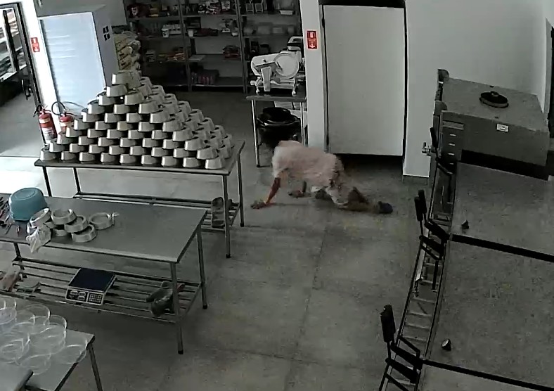 Ladrão é flagrado engatinhando para furtar estabelecimento no interior de SP; veja VÍDEO