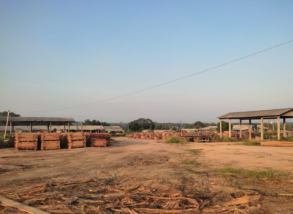 Pátio de ceralheria onde a PF fez busca contra a exploração de madeira de terras de proteção ambiental — Foto: Reprodução/ Policia Federal