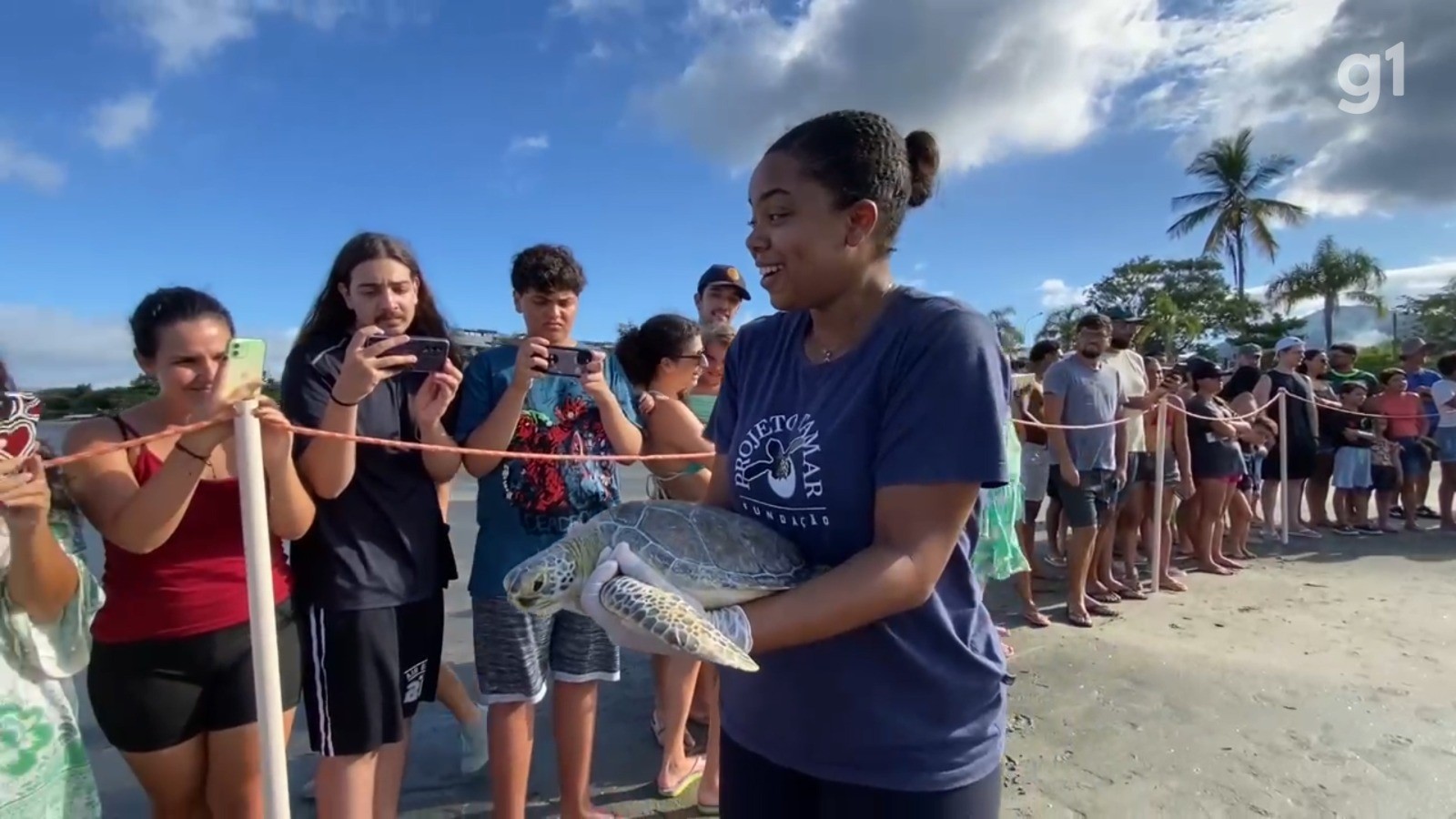 VÍDEO: Tartaruga encontrada presa em anzóis é devolvida ao mar após dois meses de tratamento em Ubatuba, SP