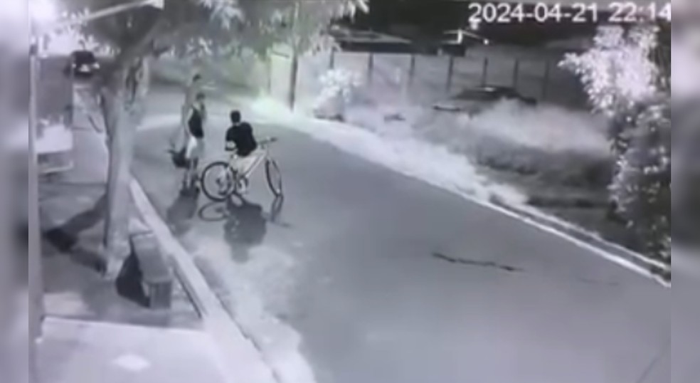 Uma câmera de segurança registrou o homem arremessando o gato da vizinha já sem vida em Avaré (SP) — Foto: Reprodução