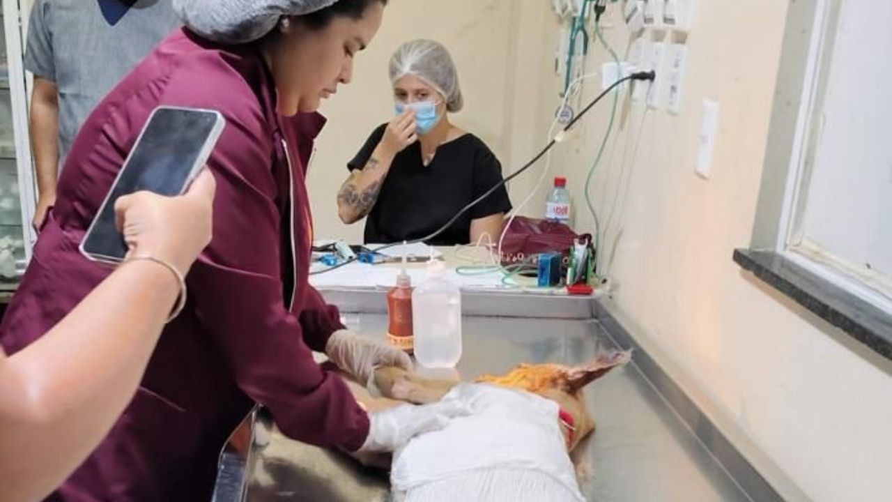 Você Não Tá Convidada pro Meu Bat Mitzvá!