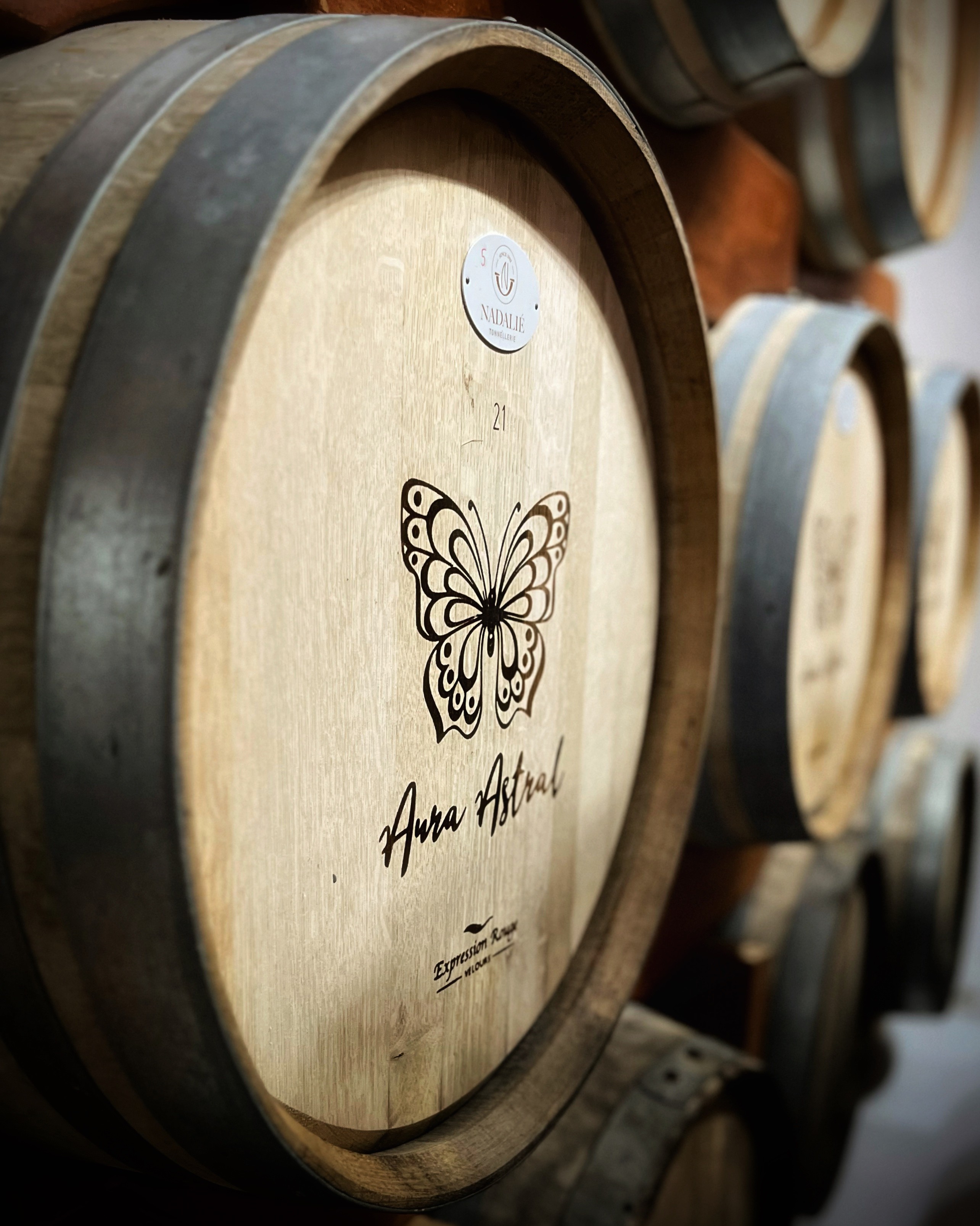 História e inovação: Vinícola XV de Novembro restaura espaço centenário