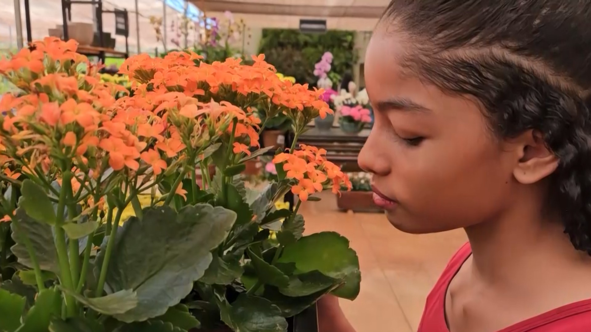 Aluna de 11 anos se encanta com as flores da primavera em Uberlândia: 'Eu amo o cheiro'