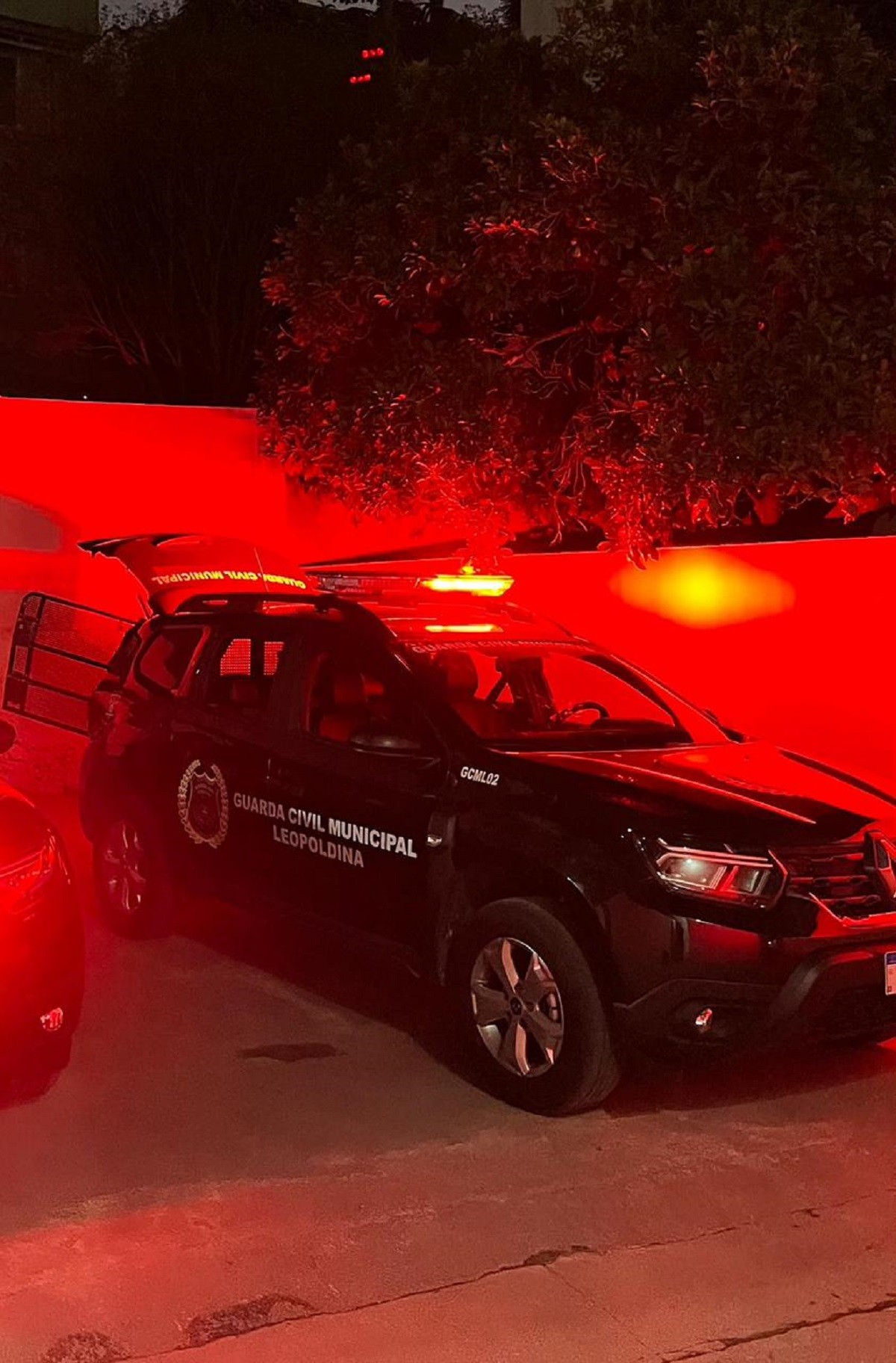 Denúncia anônima leva à prisão de marido que agrediu a esposa com barra de ferro por causa de um gato em MG