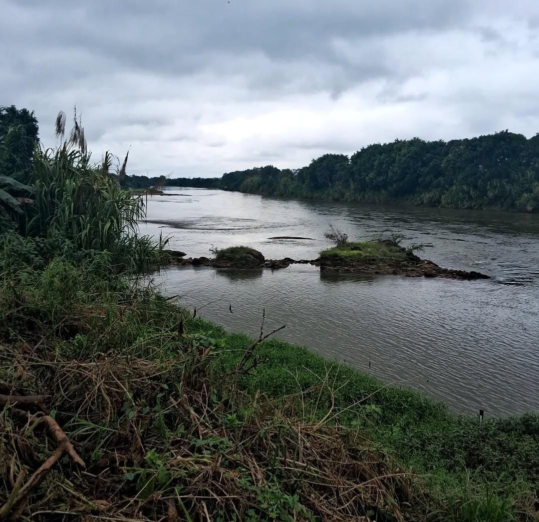 Césio-137 é identificado no Rio Ribeira (SP) e revela marcas invisíveis da ação humana no ambiente