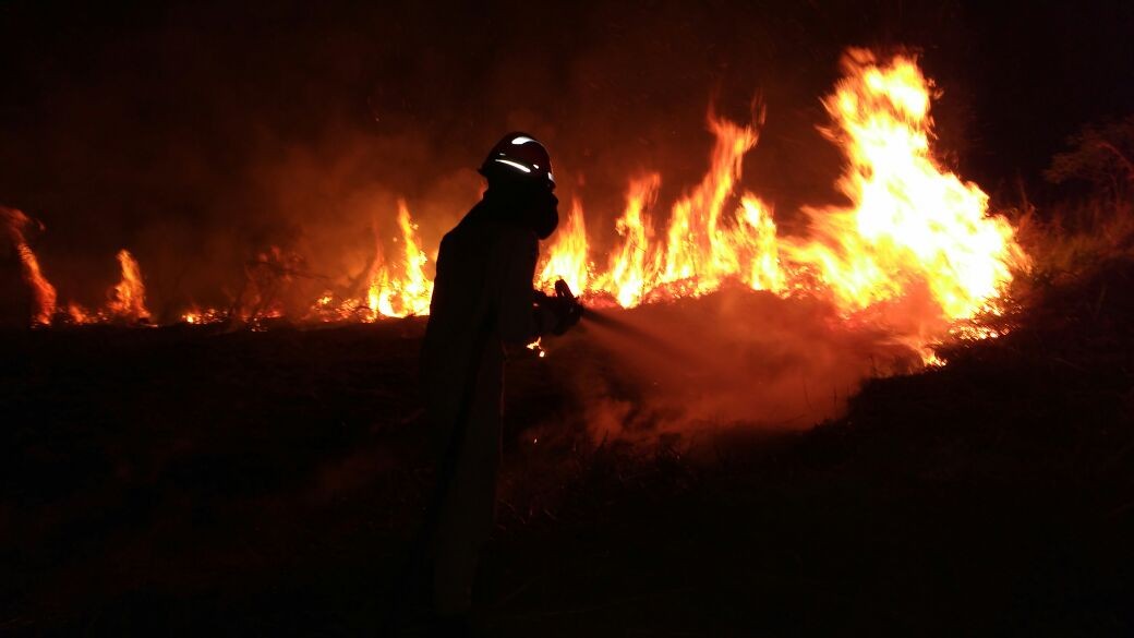 Mato Grosso lidera ranking de focos de calor no Brasil em 2025
