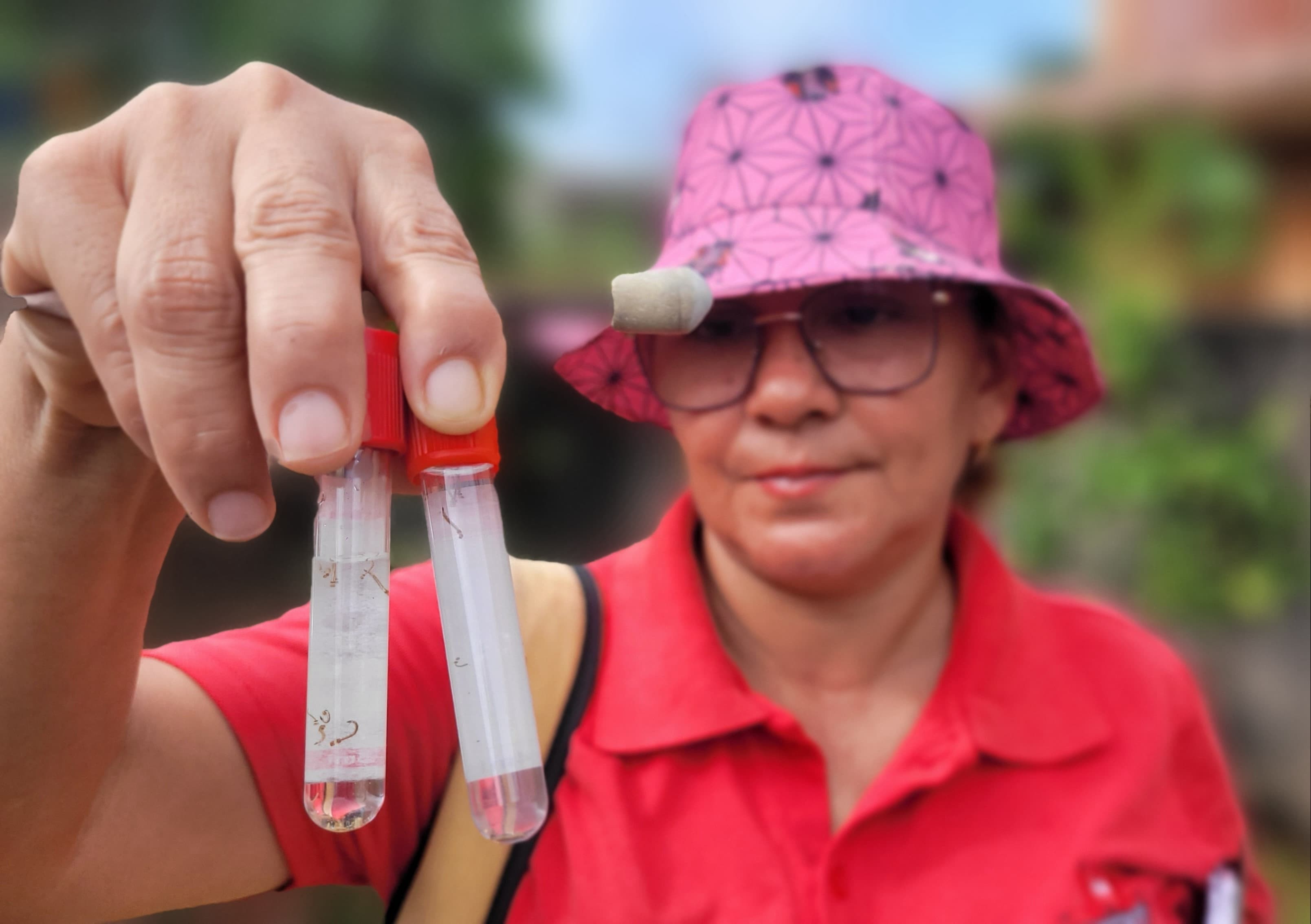 Ministério da Saúde vai enviar 20 mil doses de vacina contra dengue para o Amapá 