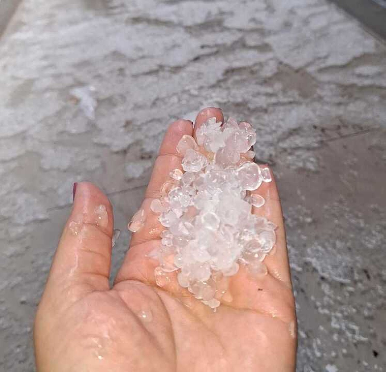 VÍDEO: Santa Bárbara d'Oeste registra chuva de granizo e queda de árvores