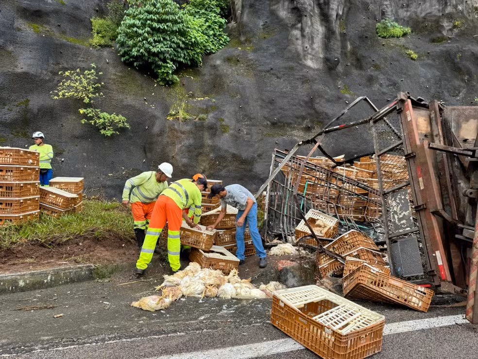 Caminhão transportava mais de 3000 frangos na Serra de Botucatu quando tombamento ocorreu — Foto: Adriano Baracho/TV TEM