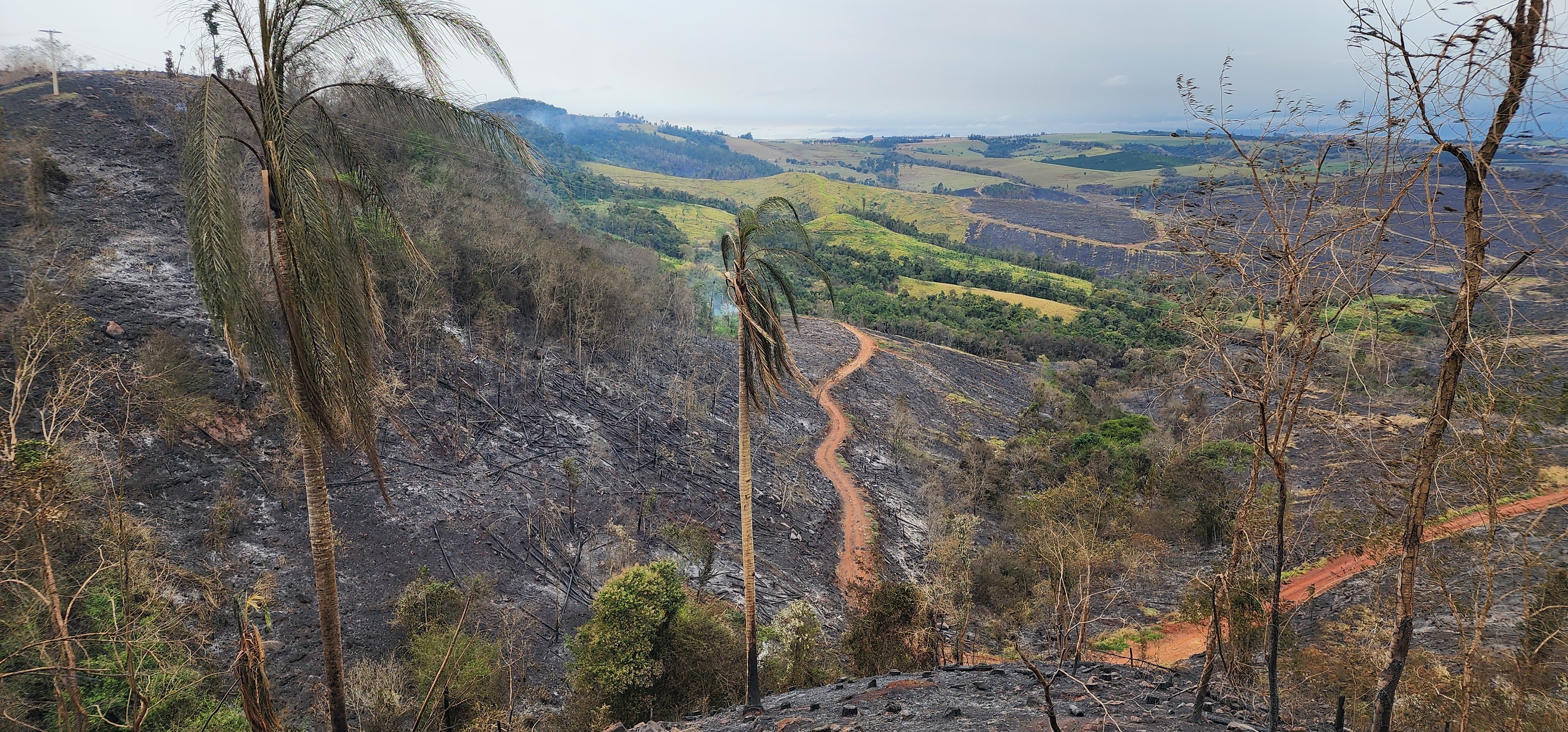 Cidades do interior de SP enfrentam seca extrema; veja mapa 