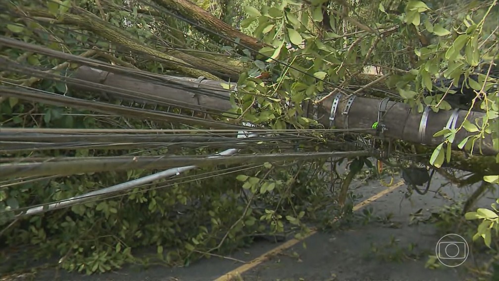 Ventania provocou queda de árvores e derrubou postes em dezenas de cidades no Paraná — Foto: JN