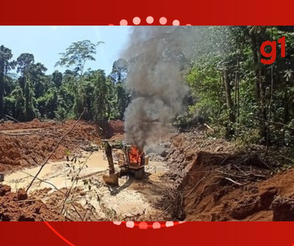 O desmatamento ultrapassou 27 hectares de floresta amaz&ocirc;nica &mdash; Foto: Minist&eacute;rio P&uacute;blico Federal