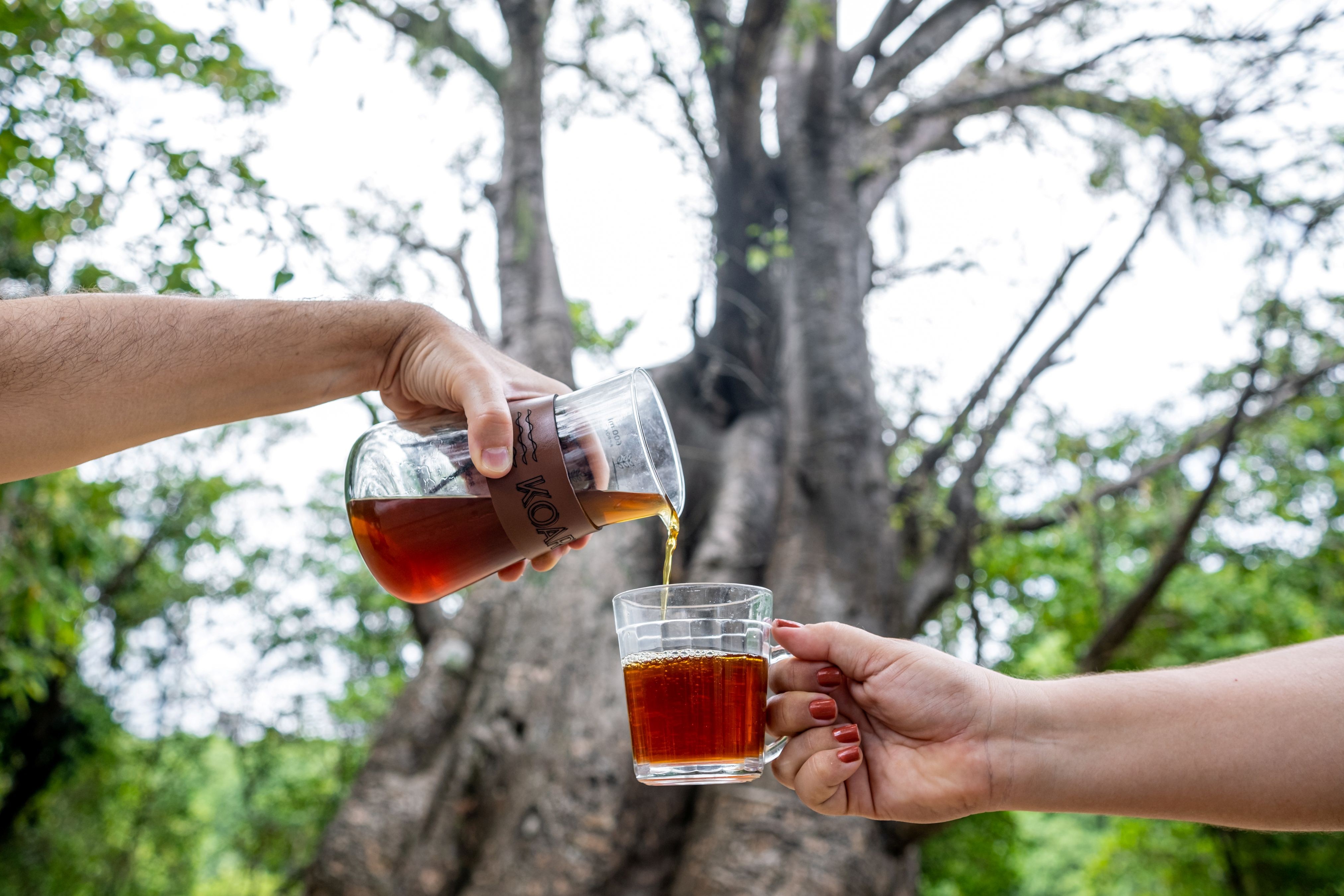 Festival 'Eu amo café' oferece combos por R$ 32,90 em 31 cafeterias de cinco cidades de PE; confira locais