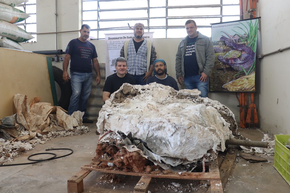 Pesquisadores iniciam preparação para o transporte do maior fóssil da pelve de um titanossauro brasileiro em Presidente Prudente (SP) — Foto: Leonardo Bosisio/g1