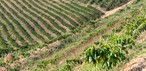 As montanhas eram um obstáculo para a internet em Caconde (SP)