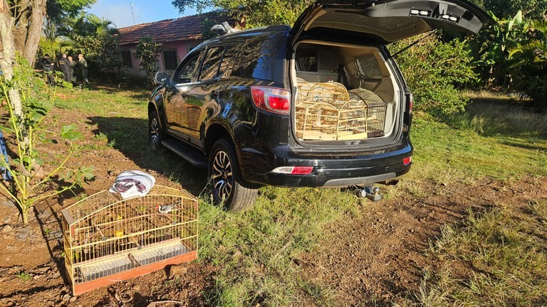 Operação da PF apreende dezenas de aves silvestres mantidas em cativeiro no interior de SP 