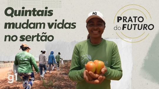 'Não conhecia rúcula, salsa, couve': como a agricultura mudou vidas em um deserto alimentar do Brasil - Na série 'PF: prato do futuro', o g1 conta histórias de moradores de Betânia do Piauí, onde a pobreza e a seca extrema sempre dificultaram o acesso a comida saudável.