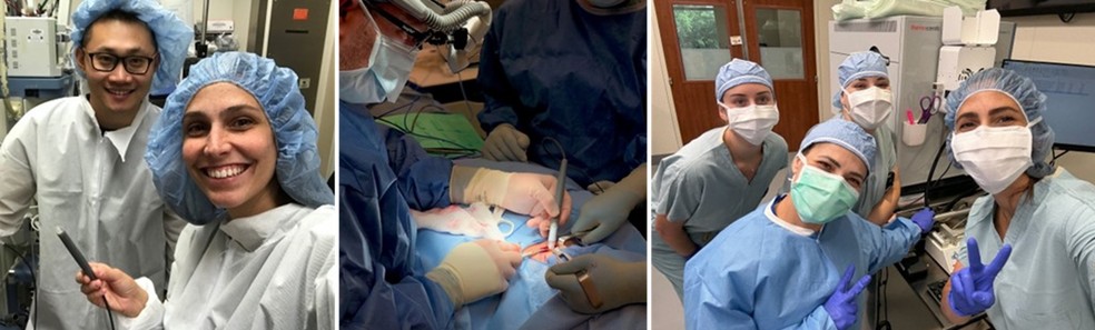 A pesquisadora brasileira Lívia Eberlin e sua equipe, responsáveis por desenvolver a MasSpec Pen — Foto: Arquivo Pessoal