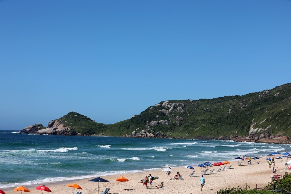 Praia Brava em Florianópolis — Foto: Lucas Amorelli/NSC