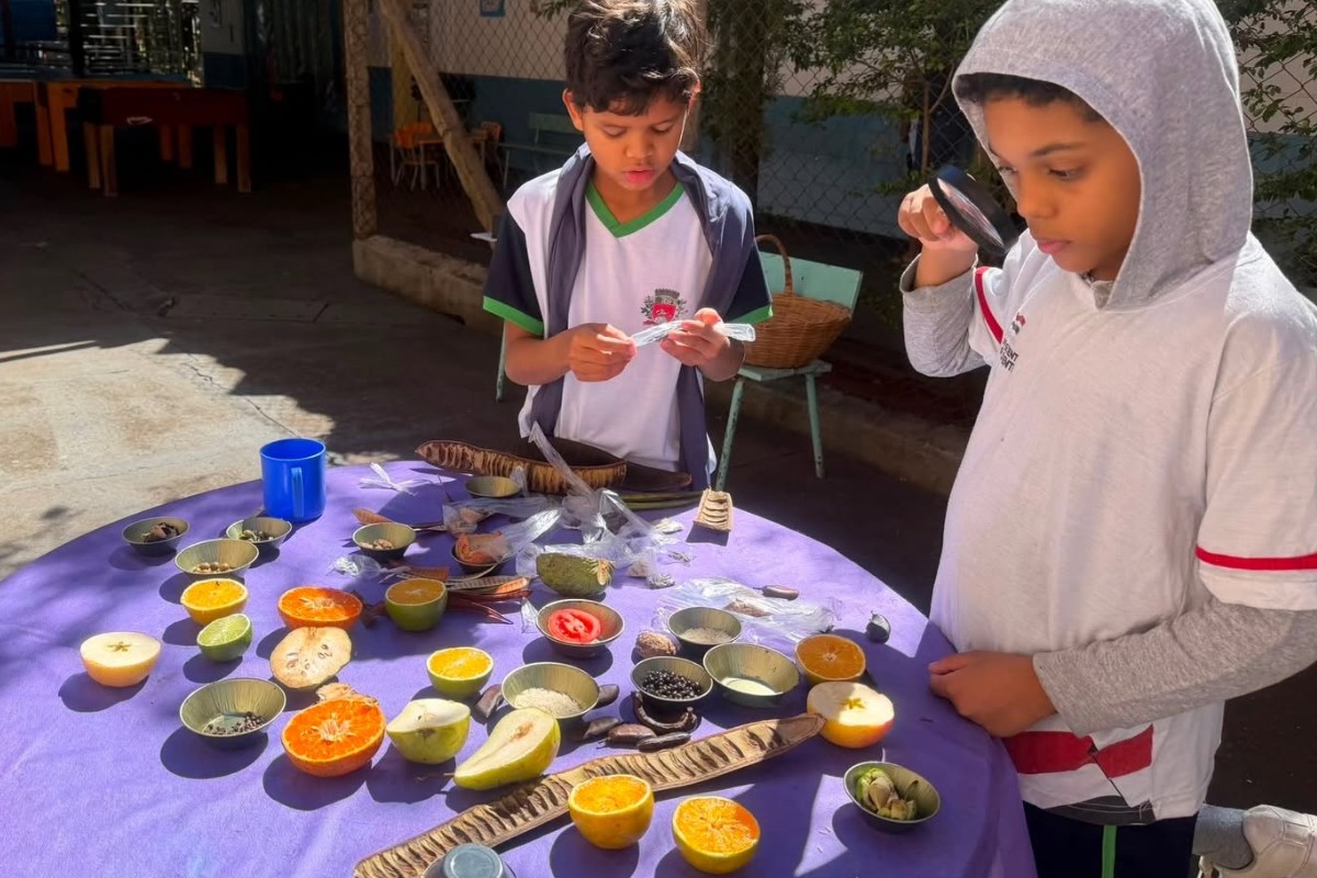 Programa leva jornada escolar além da sala de aula para 2 mil alunos do interior de SP e concorre a prêmio nacional
