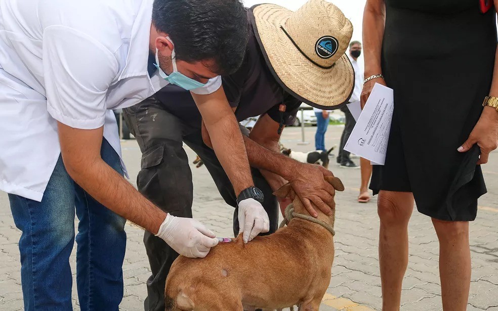 Campanha de vacinação antirrábica para cães e gatos terá 108 postos em Contagem neste sábado; veja locais