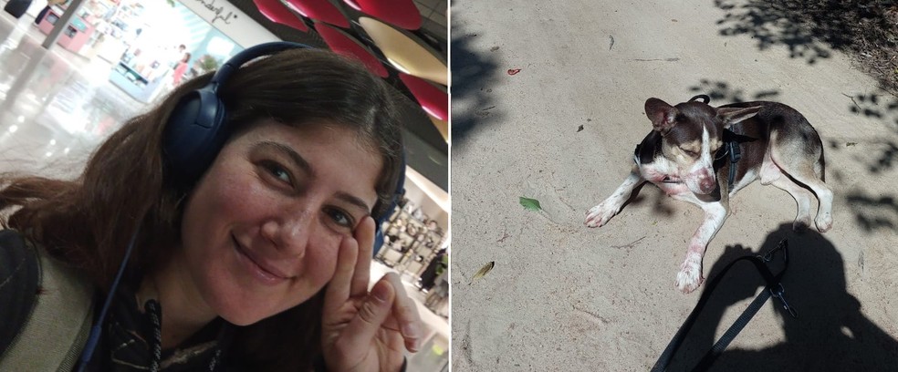 Cachorro foi encontrado sujo de sangue ao lado de argentina encontrada morta em trilha para praia em Búzios — Foto: Arquivo pessoal