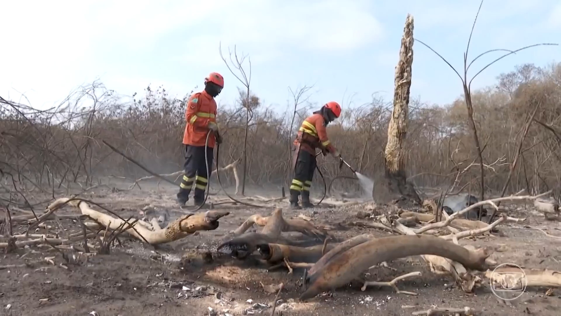 Bombeiros tentam evitar que fogo volte a atingir áreas do Pantanal onde já foi controlado