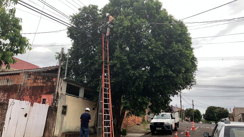 Vendaval causou danos na distribuição de energia no Oeste Paulista — Foto: Energisa