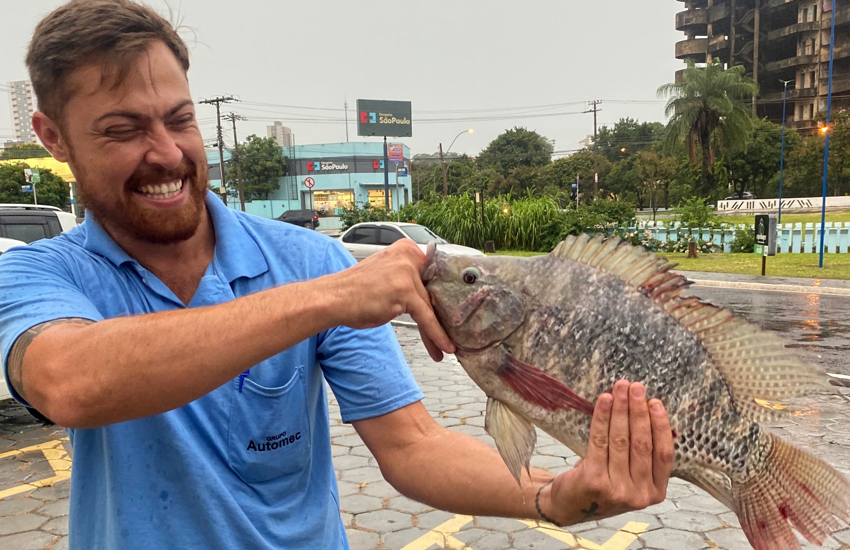 Morador acha tilápia no meio de avenida após córrego transbordar com chuva em Franca, SP: 'É real' 