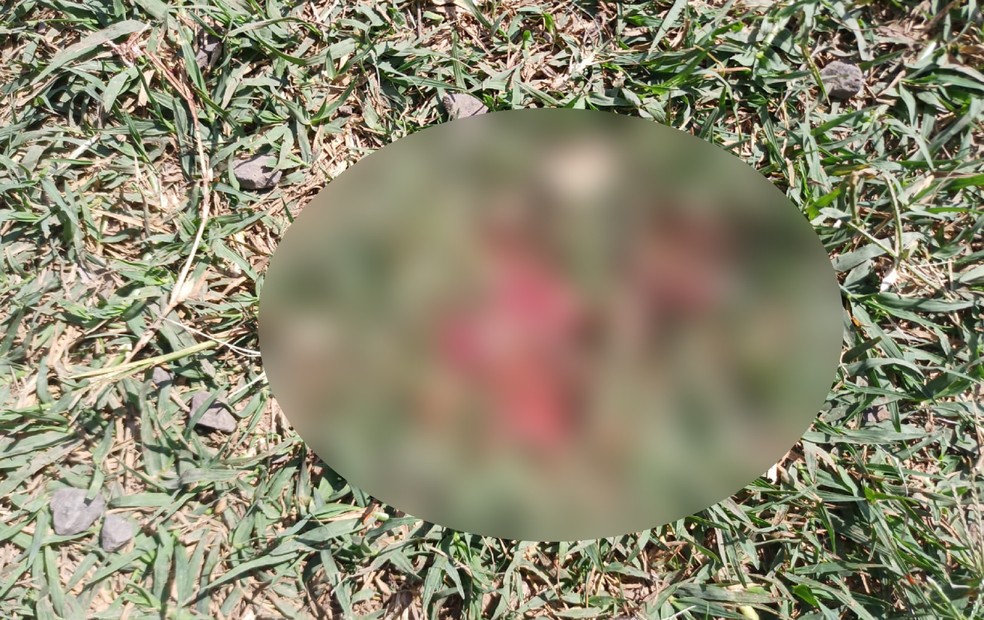 Filho é preso em flagrante suspeito de atropelar mãe em propriedade rural de Botucatu — Foto: Polícia Civil/Divulgação