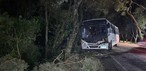 Vento forte derruba árvore sobre ônibus e bloqueia rodovia no Vale do Rio Pardo — Foto: Divulgação/Corpo de Bombeiros