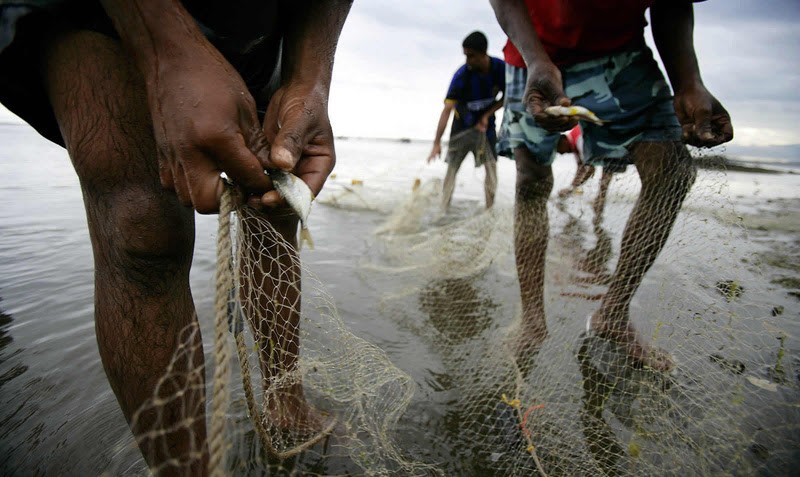 Instituições ambientais recorrem ao STF para anular lei que proíbe pesca comercial por 5 anos em MT