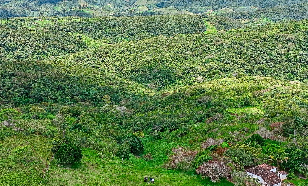 Doze proprietários de áreas com Mata Atlântica são autuados em mais de R$ 700 mil por desmatamento, na Paraíba