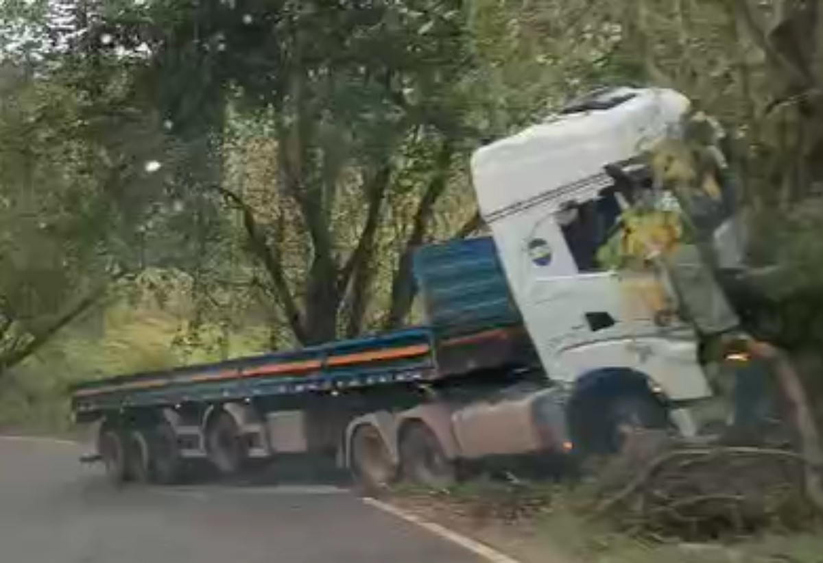 Motorista de caminhão perde controle, sai da pista e bate árvore na RJ-155, em Rio Claro