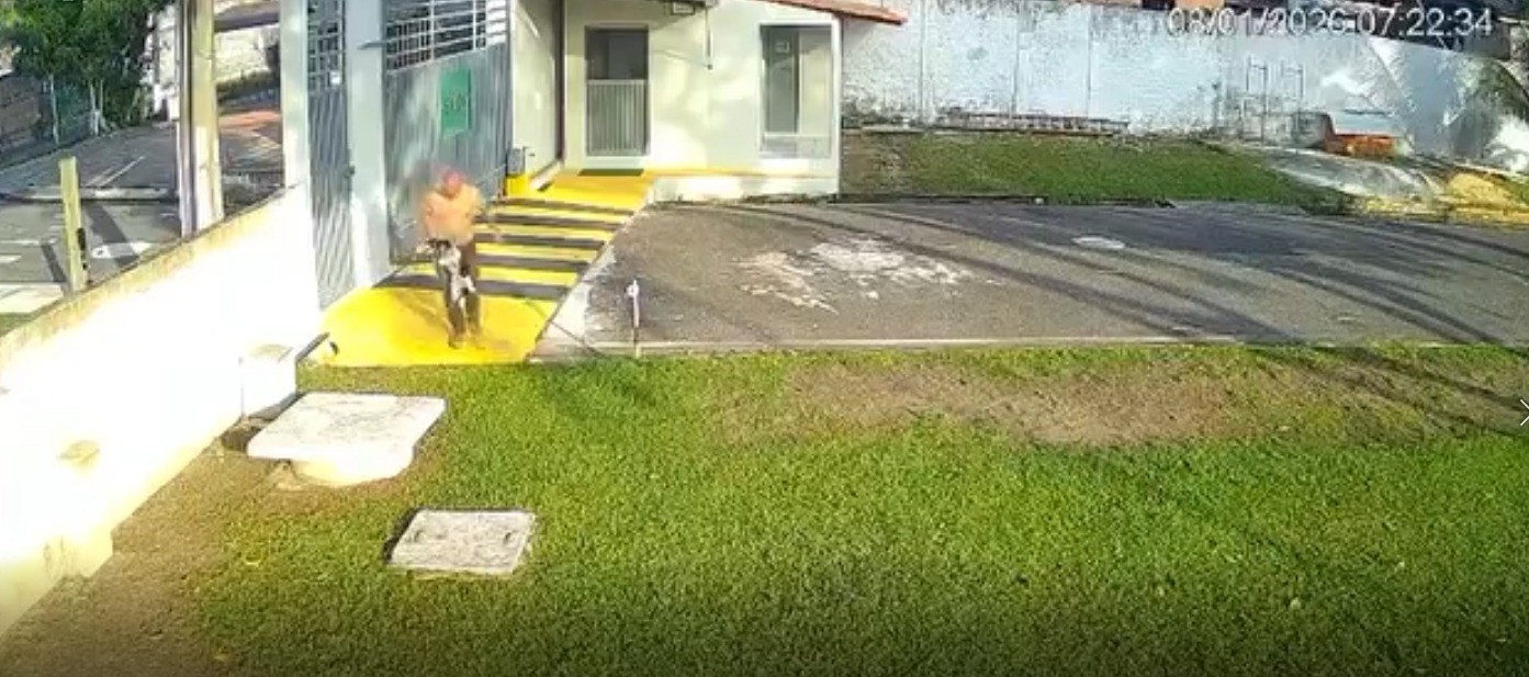 Cachorro é espancado pelo próprio tutor no bairro do Parque Verde, em Belém