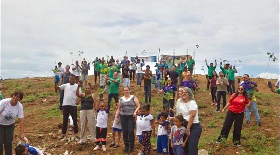 Plantio de mais de 3 mil mudas nativas no Morro da Pedra Branca, em Itaperuna. — Foto: Divulgação