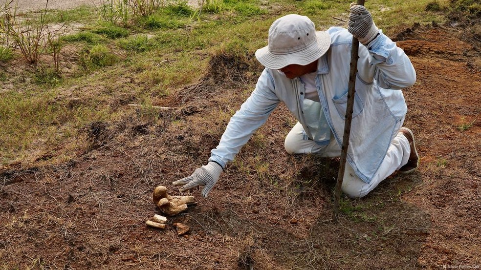 Alceu Ranzi atuou mais de 30 anos na Ufac. — Foto: Nádia Pontes/DW