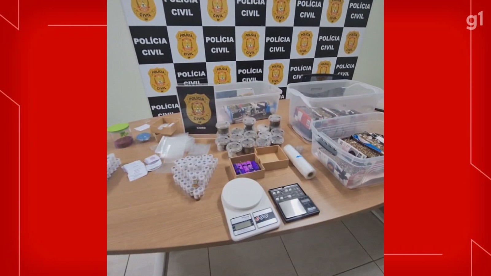 Estudante da UnB é presa por vender cogumelos alucinógenos 