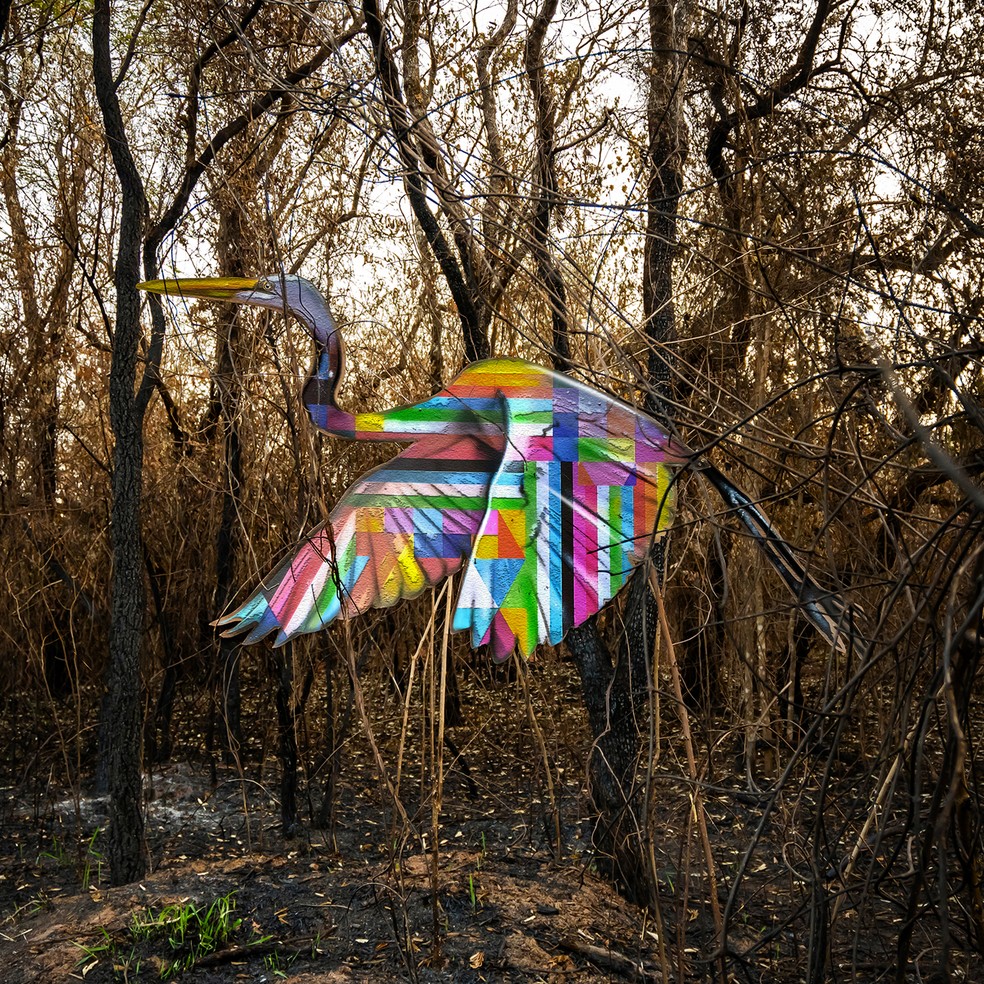 Kobra faz intervenção artística em área de mata queimada para conscientizar sobre fauna e flora — Foto: Turbo Labs/Studio Kobra