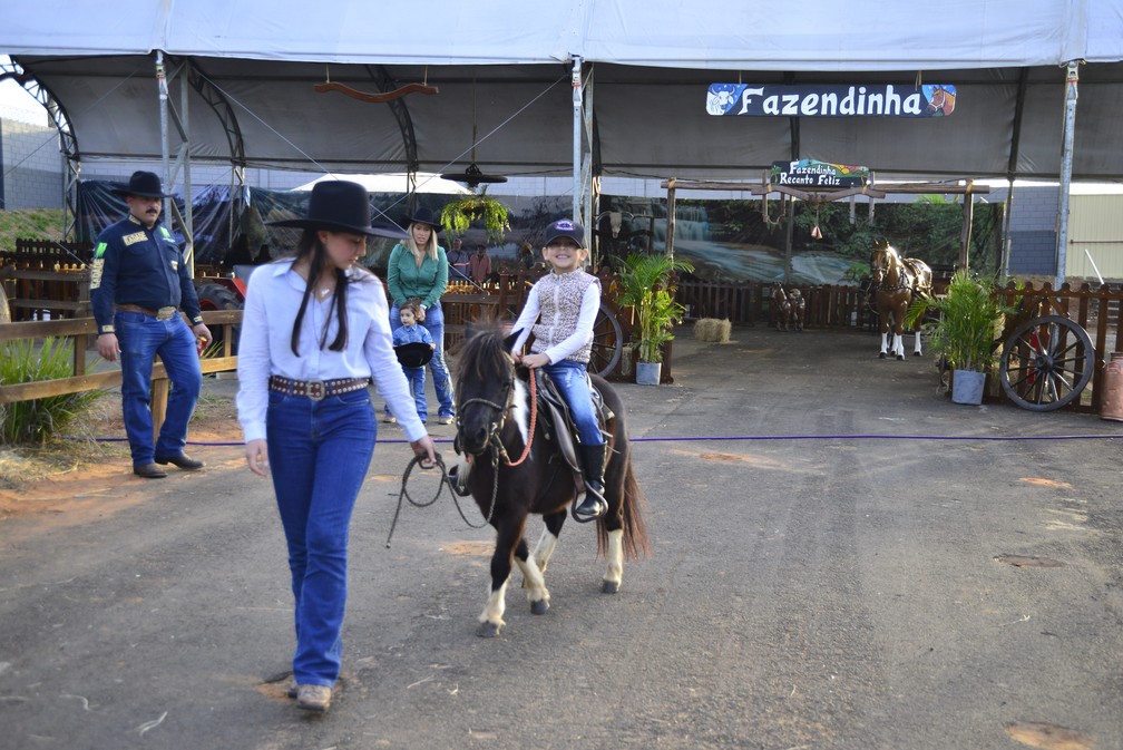 G1 - Axé e sertanejo animam público na última noite do Rodeio de Americana  - notícias em Festa do Peão de Americana 2015