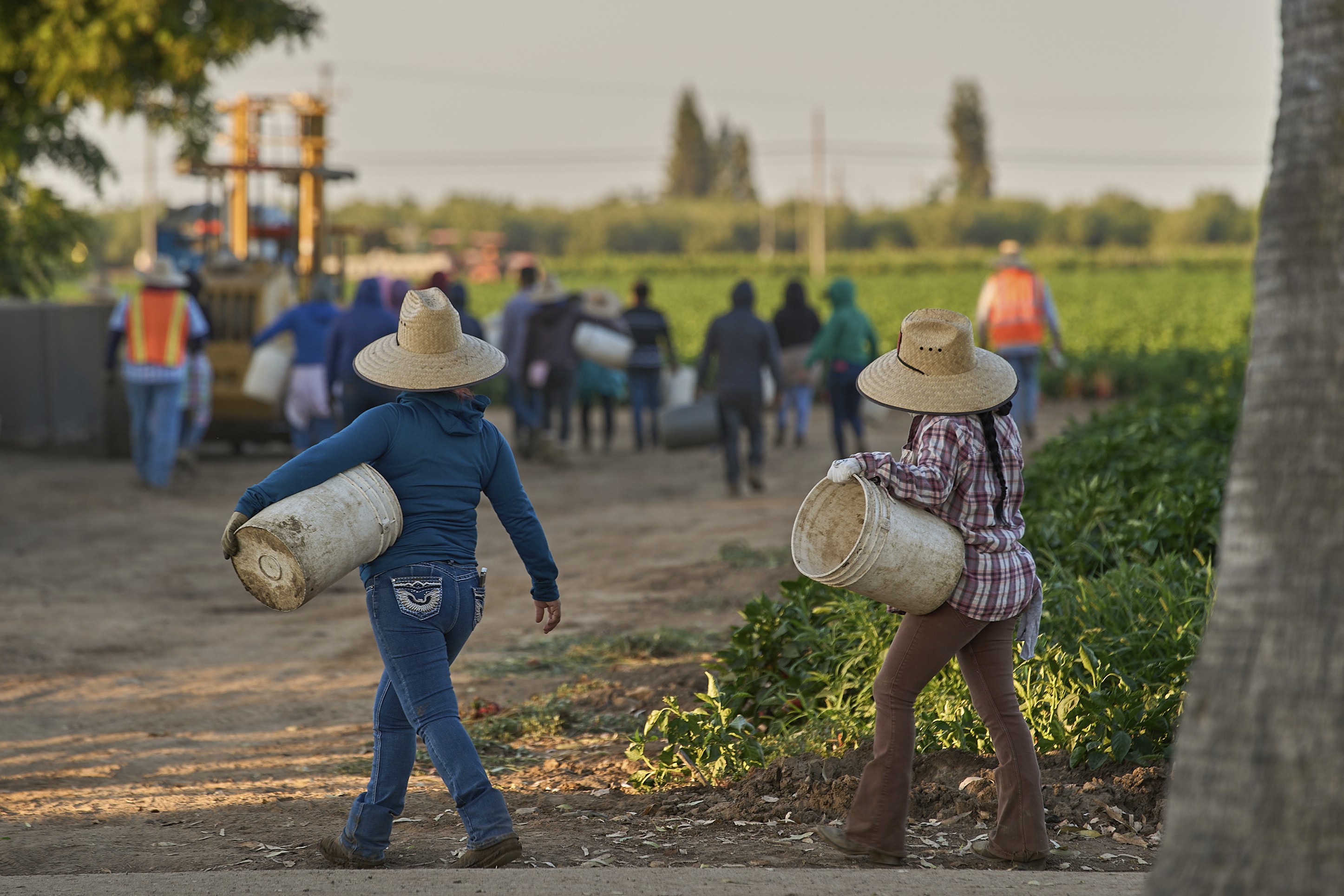 EUA: 1,2 milhão de imigrantes deixaram força de trabalho sob Trump, mostram dados do Censo