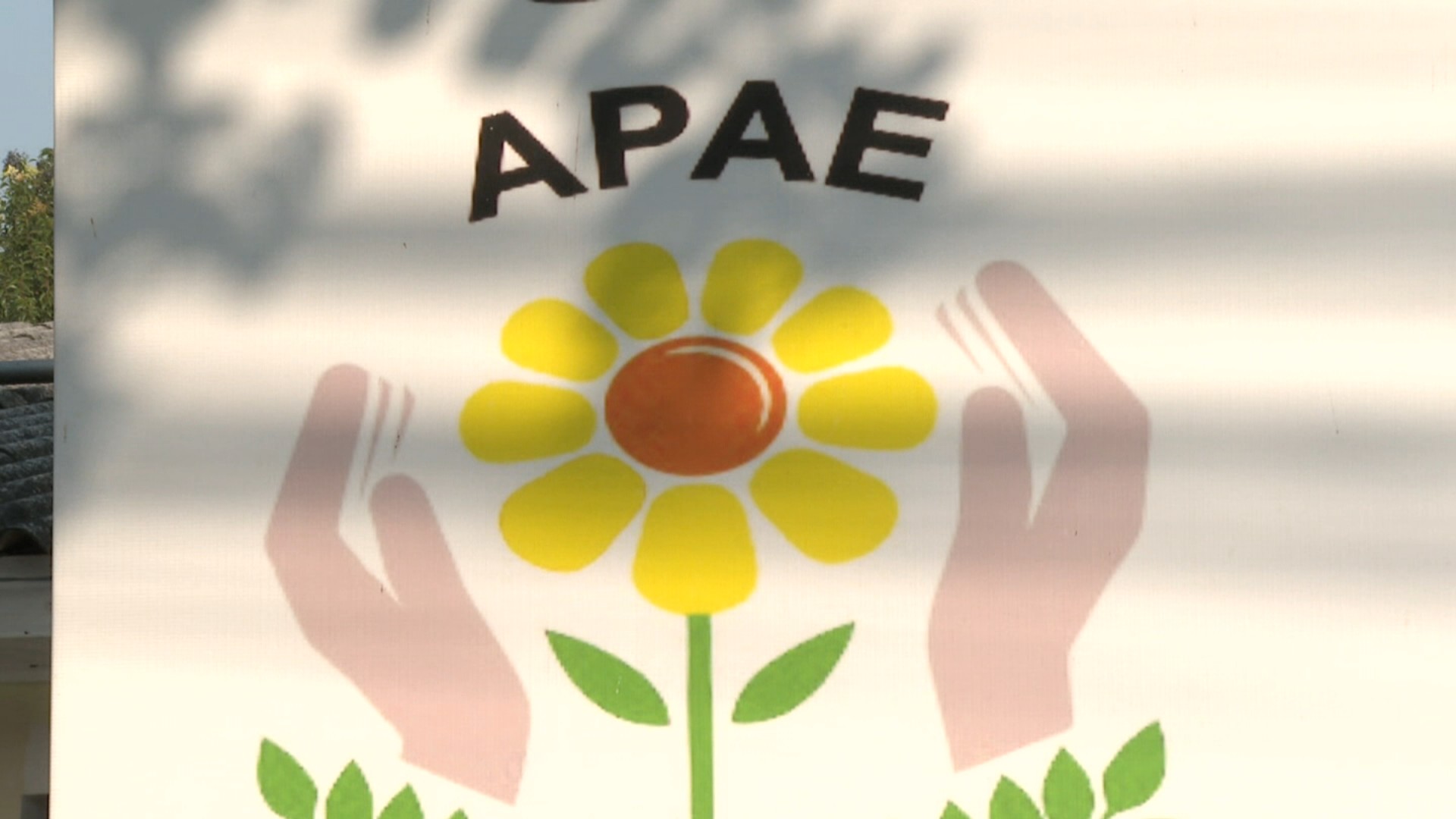 Apae Aracaju realiza Semana Nacional da Pessoa com Deficiência Intelectual e Múltipla