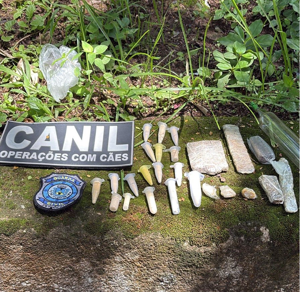 Drogas e réplica de arma são encontradas por cães farejadores no Centro de Petrópolis