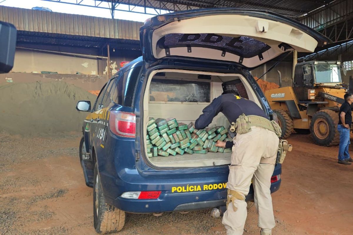 Cães farejadores descobrem 120 kg de cocaína escondido em carga de minério de ferro