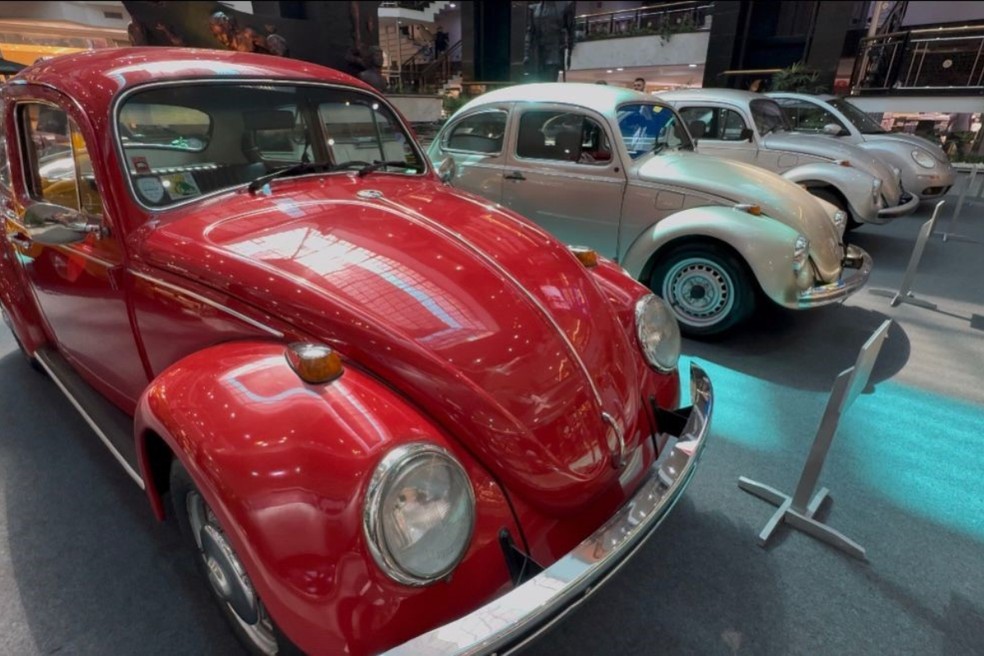 Encontro de carros antigos — Foto: Divulgação