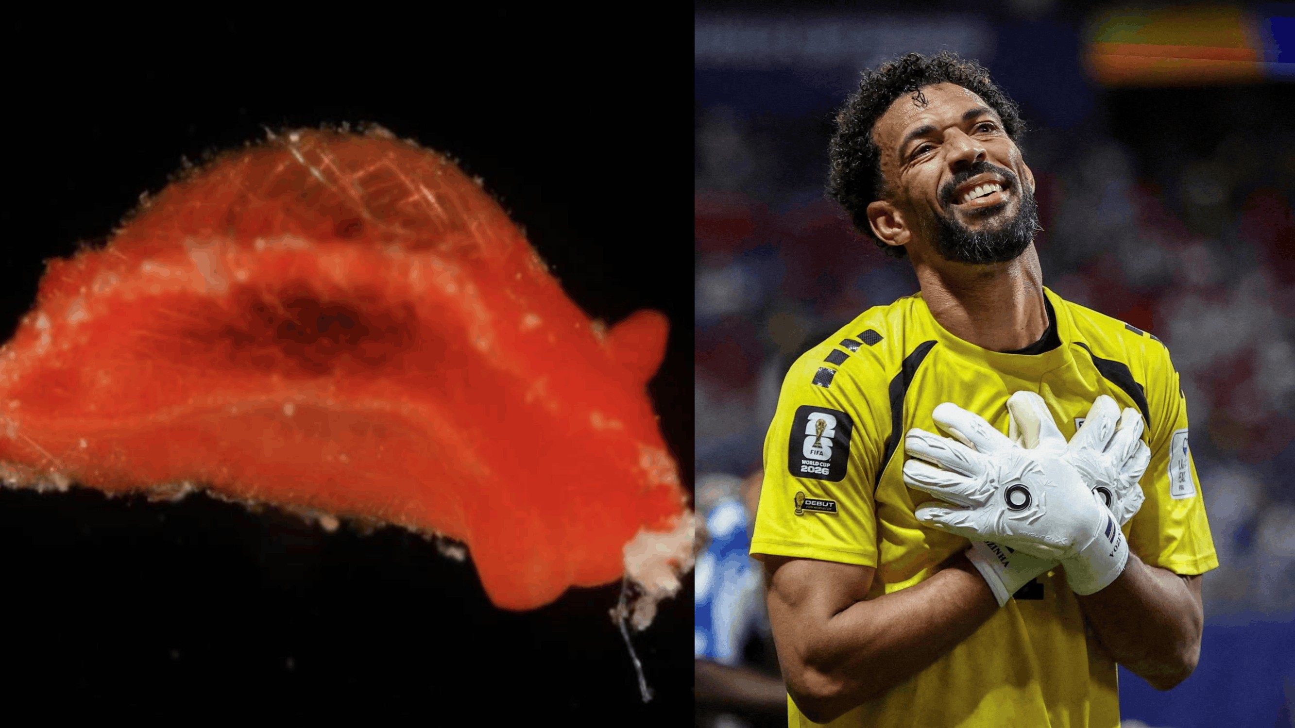 Molusco marinho é batizado de 'Aldisa vozinha' em homenagem ao goleiro de Cabo Verde