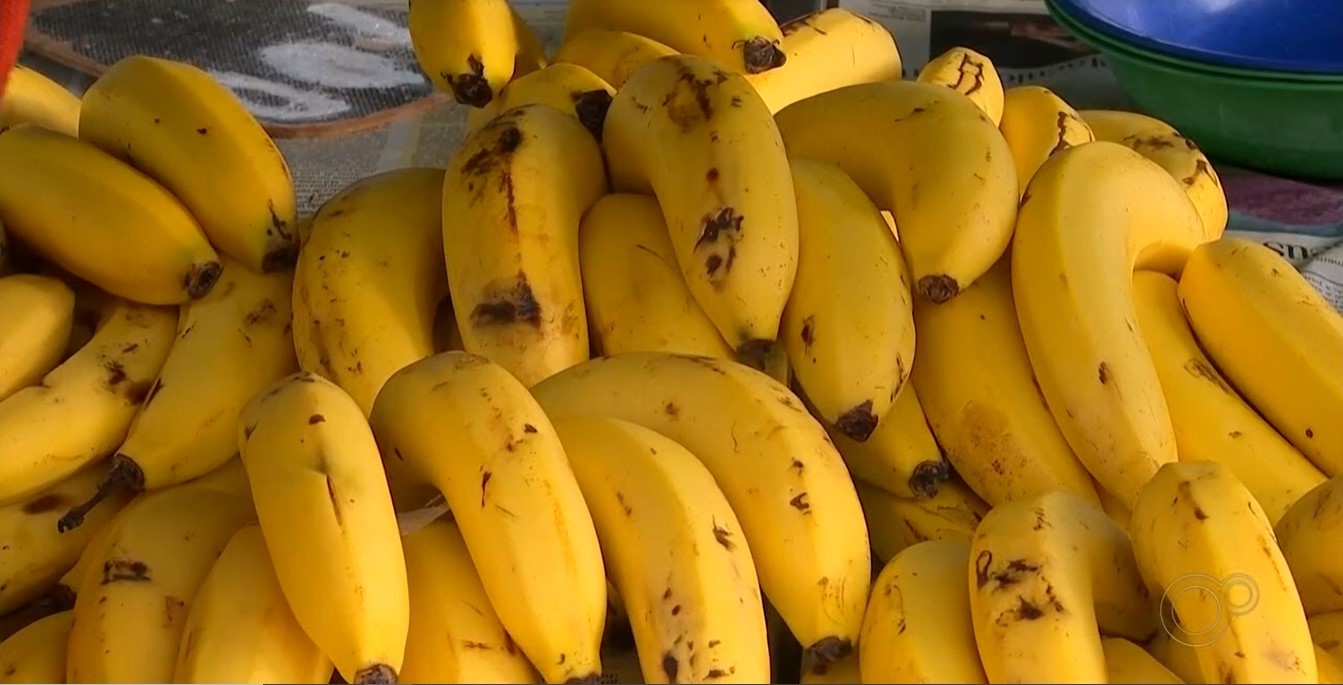 
'Apocalipse das bananas': pesquisas apontam como evitar a propagação do fungo mal-do-Panamá na fruta