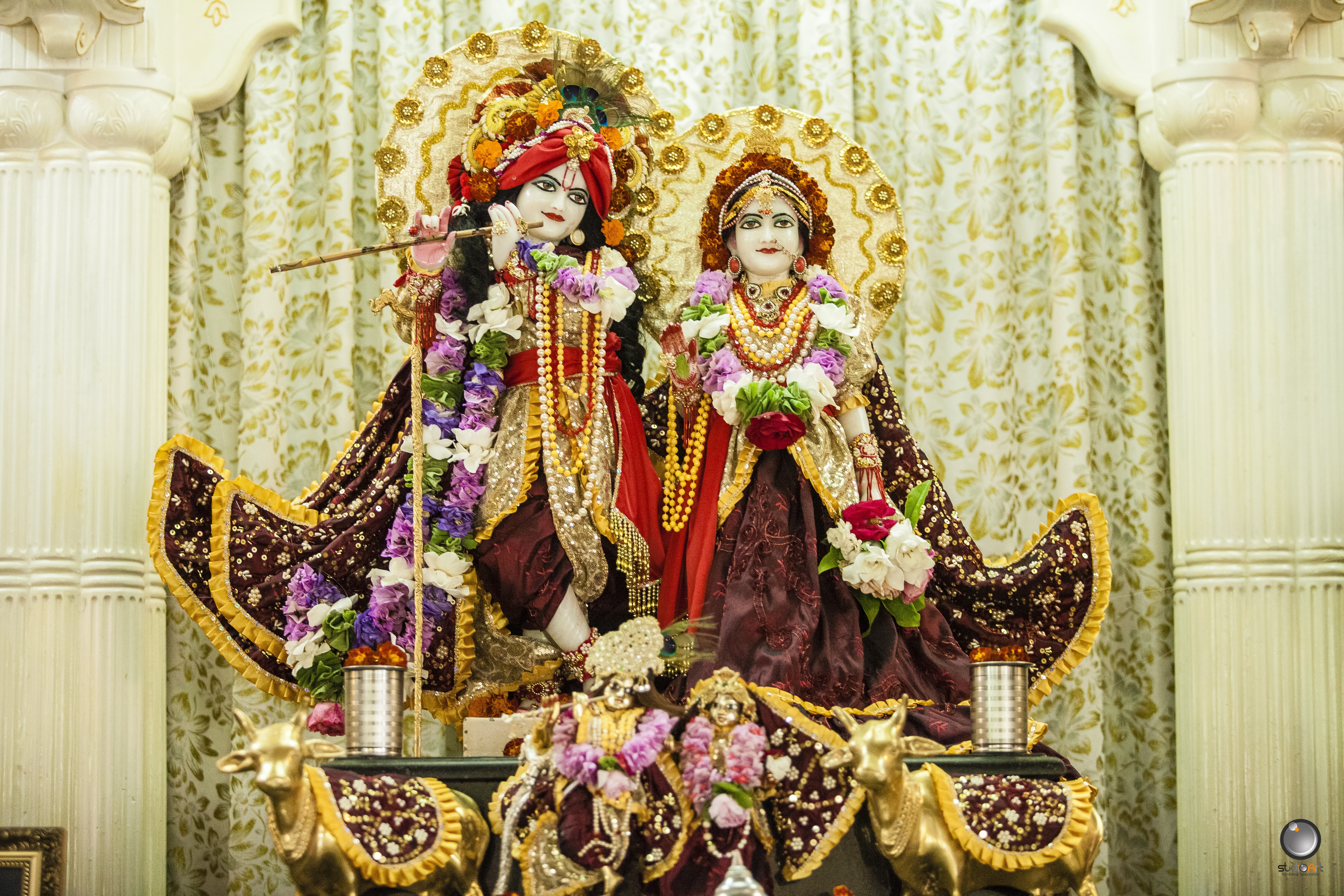 Cidade do interior de SP tem a maior
comunidade Hare Krishna da América
Latina; conheça o movimento religioso 